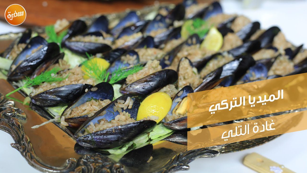 الميديا التركي