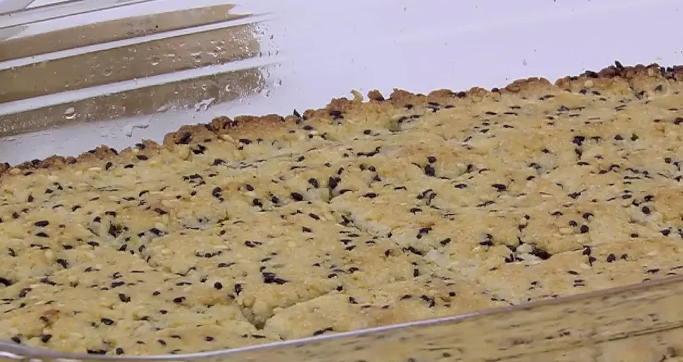 هريسة بالحلبة