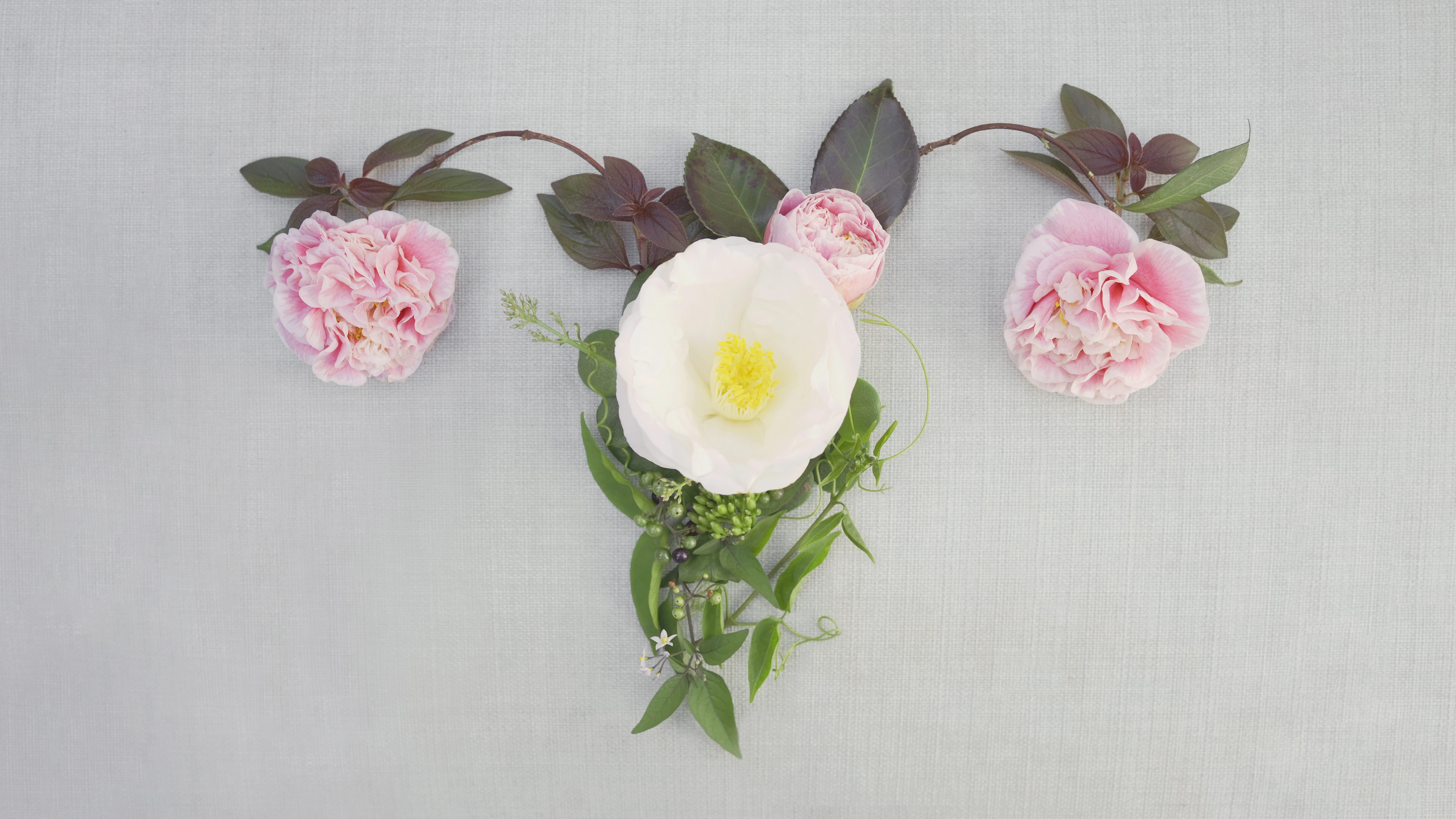 نظام غذائي يعالج تكيّس المبايض