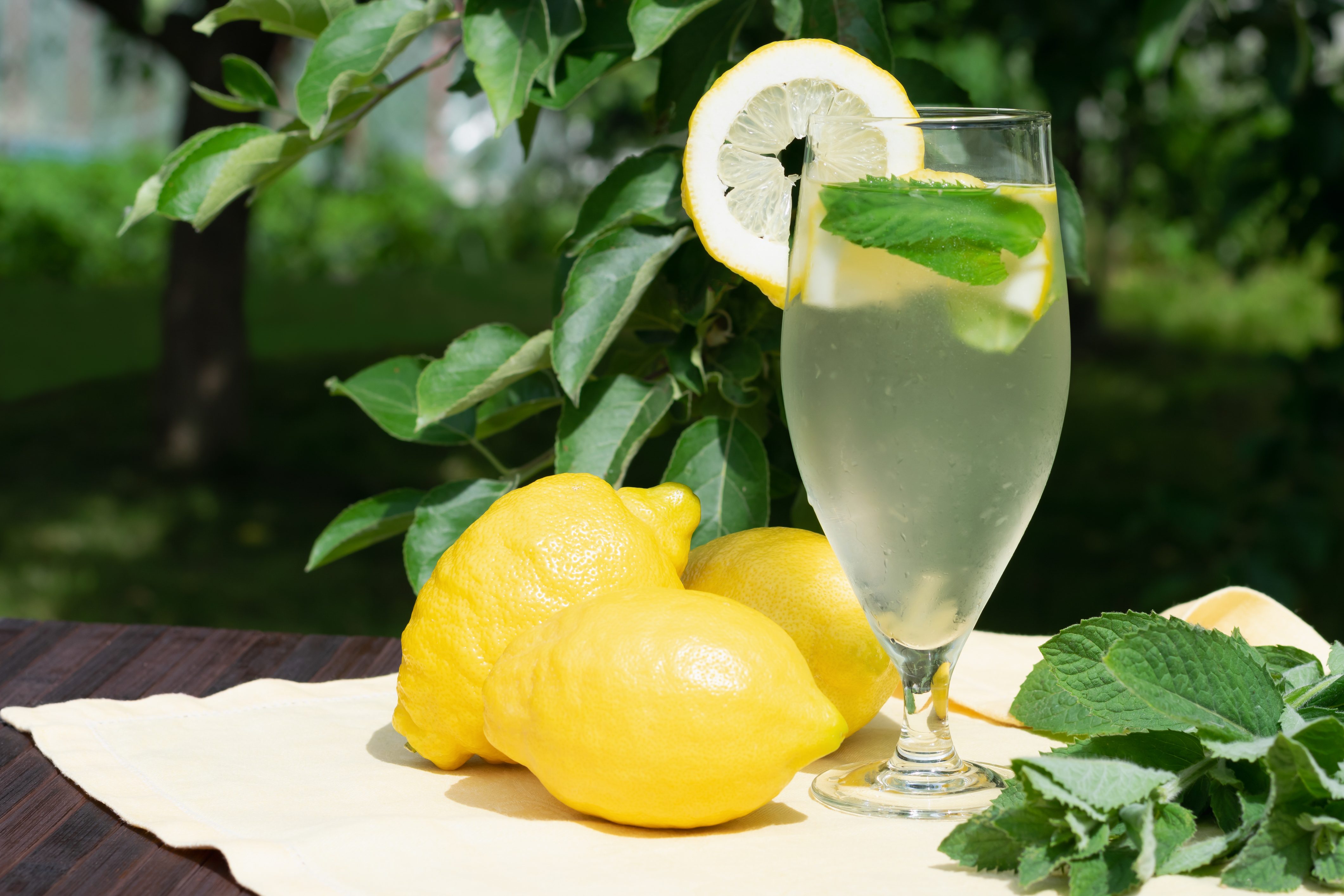 طريقة عمل الليمون بالنعناع مثل المطاعم