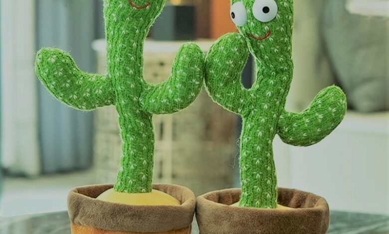 الصبارة الراقصة