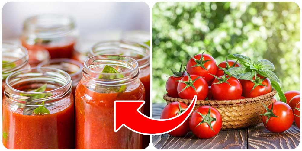 تخزين الطماطم