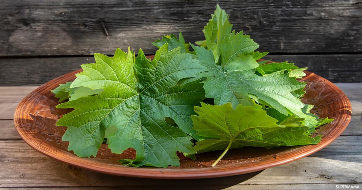 الفرق بين ورق التوت وورق العنب