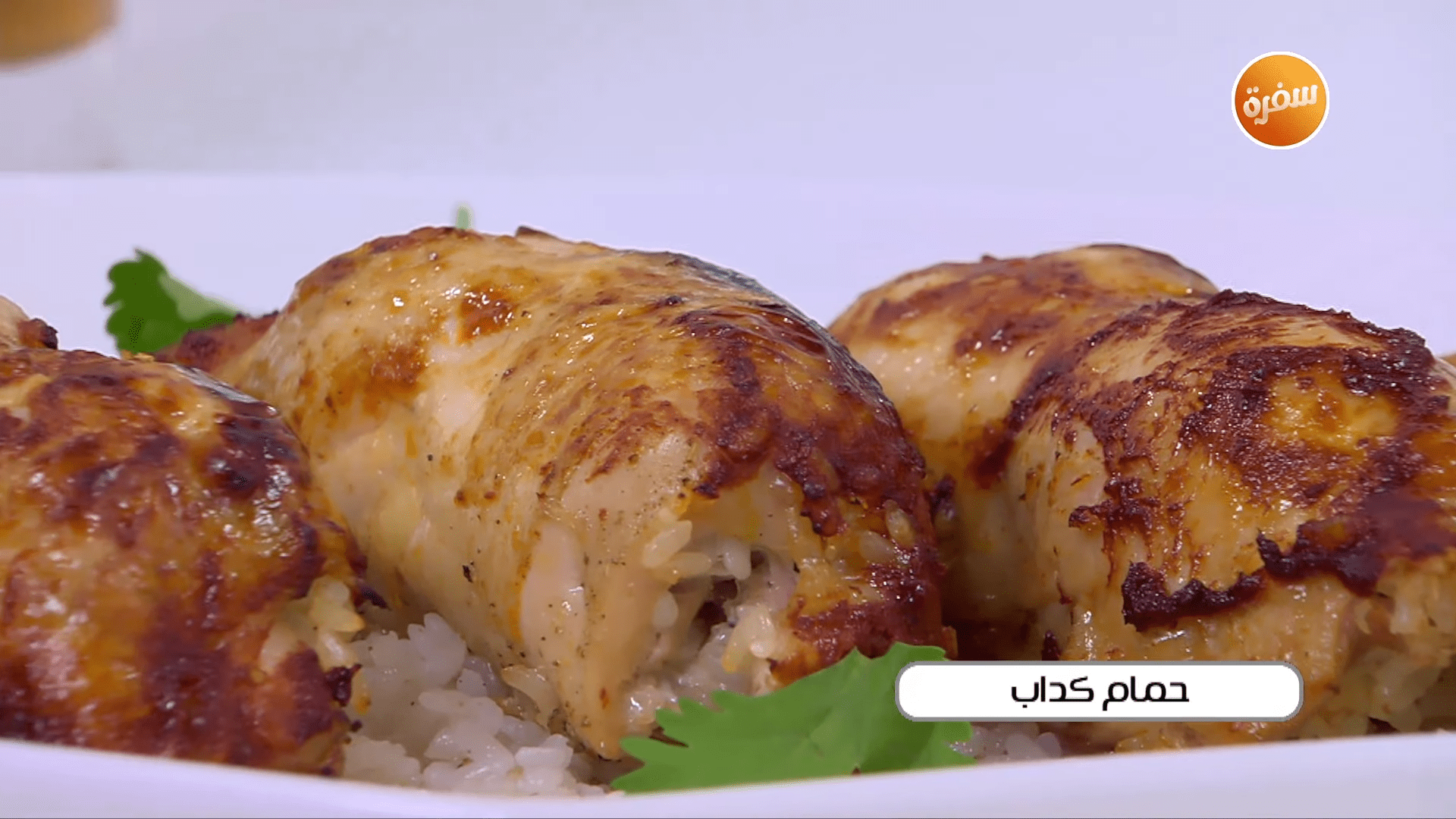 الحمام الكداب