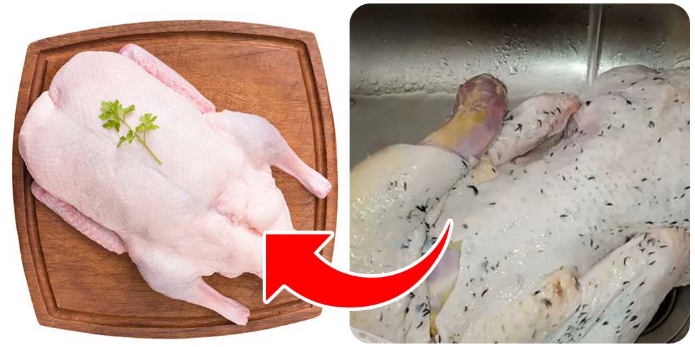 طرق مضمونة لتنظيف البط