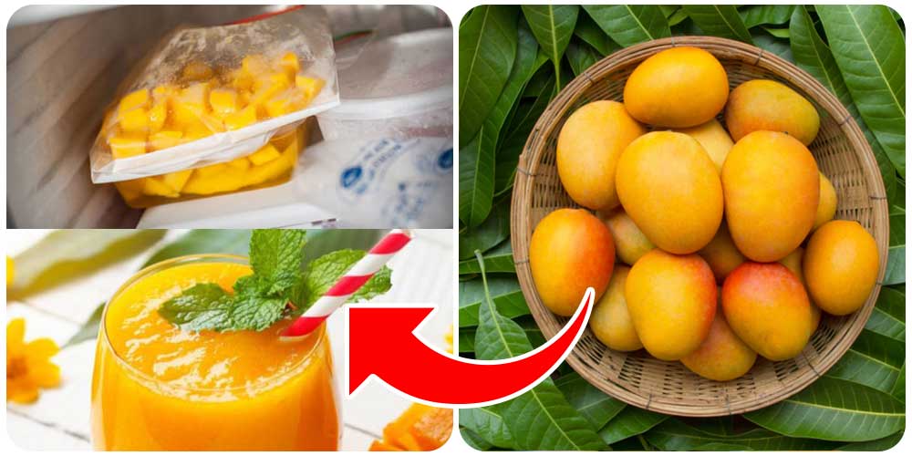 أفضل أنواع المانجو