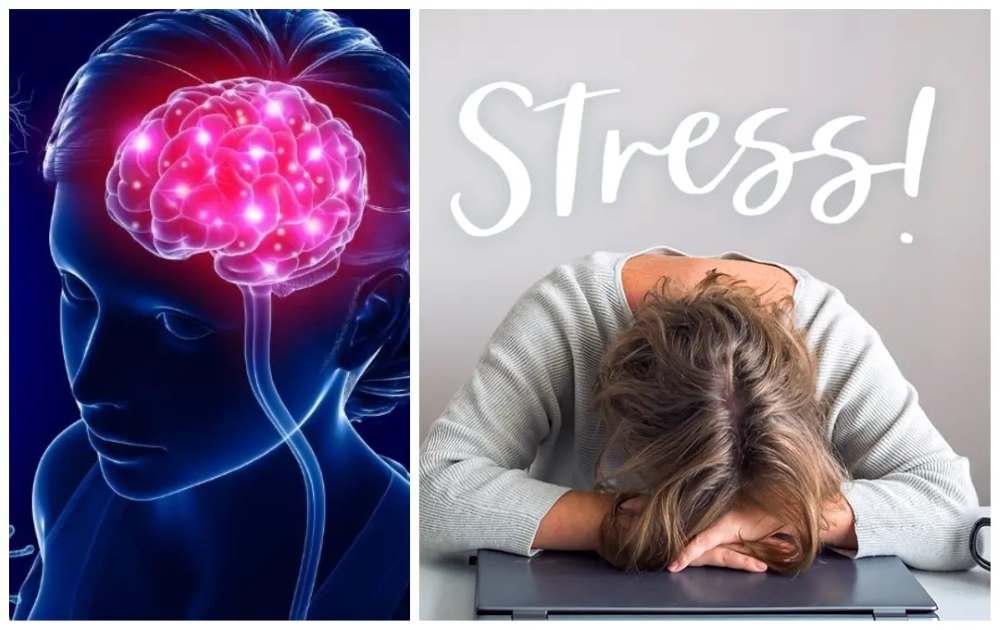 التوتر العصبي والنفسي