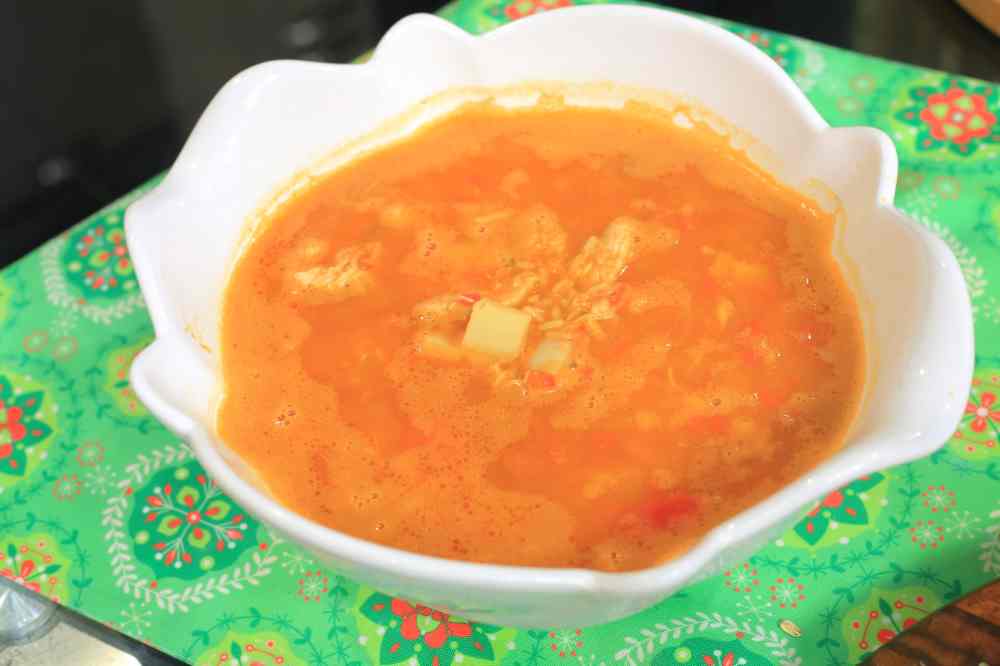 شوربة الدجاج بالخضار