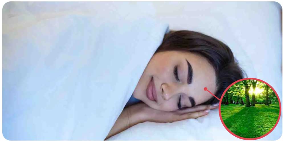 اللون الأخضر في المنام