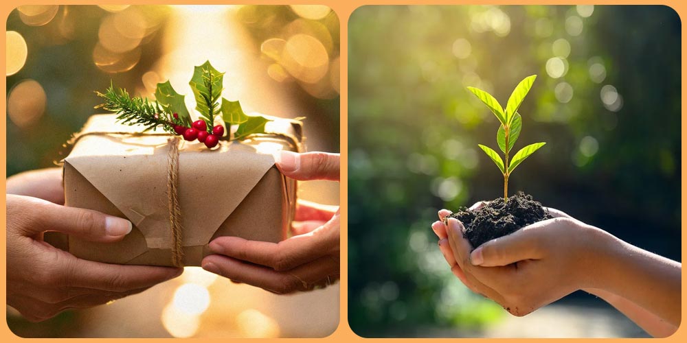 جعل عامك الجديد أكثر سعادة واستدامة