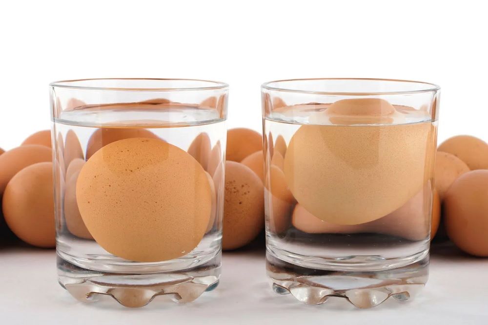 اختبار البيض الفاسد