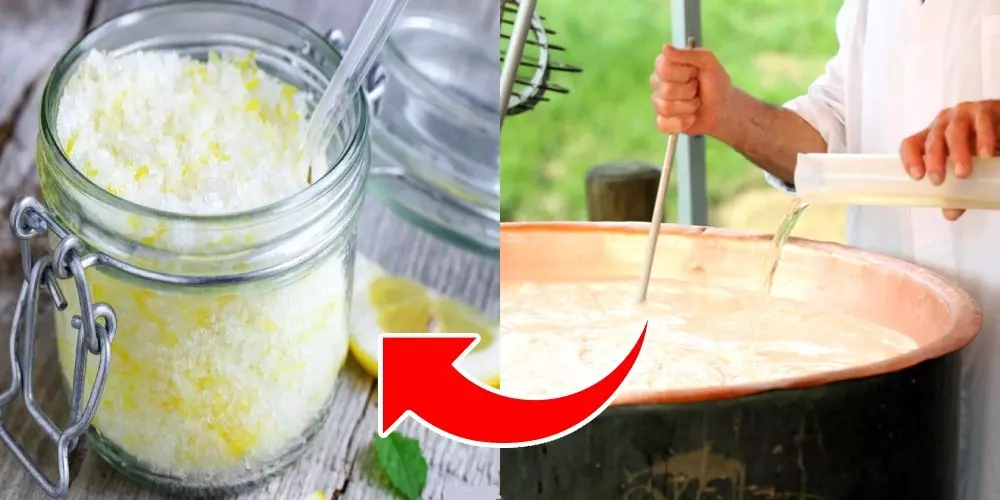 بدائل المنفحة لعمل الجبنة