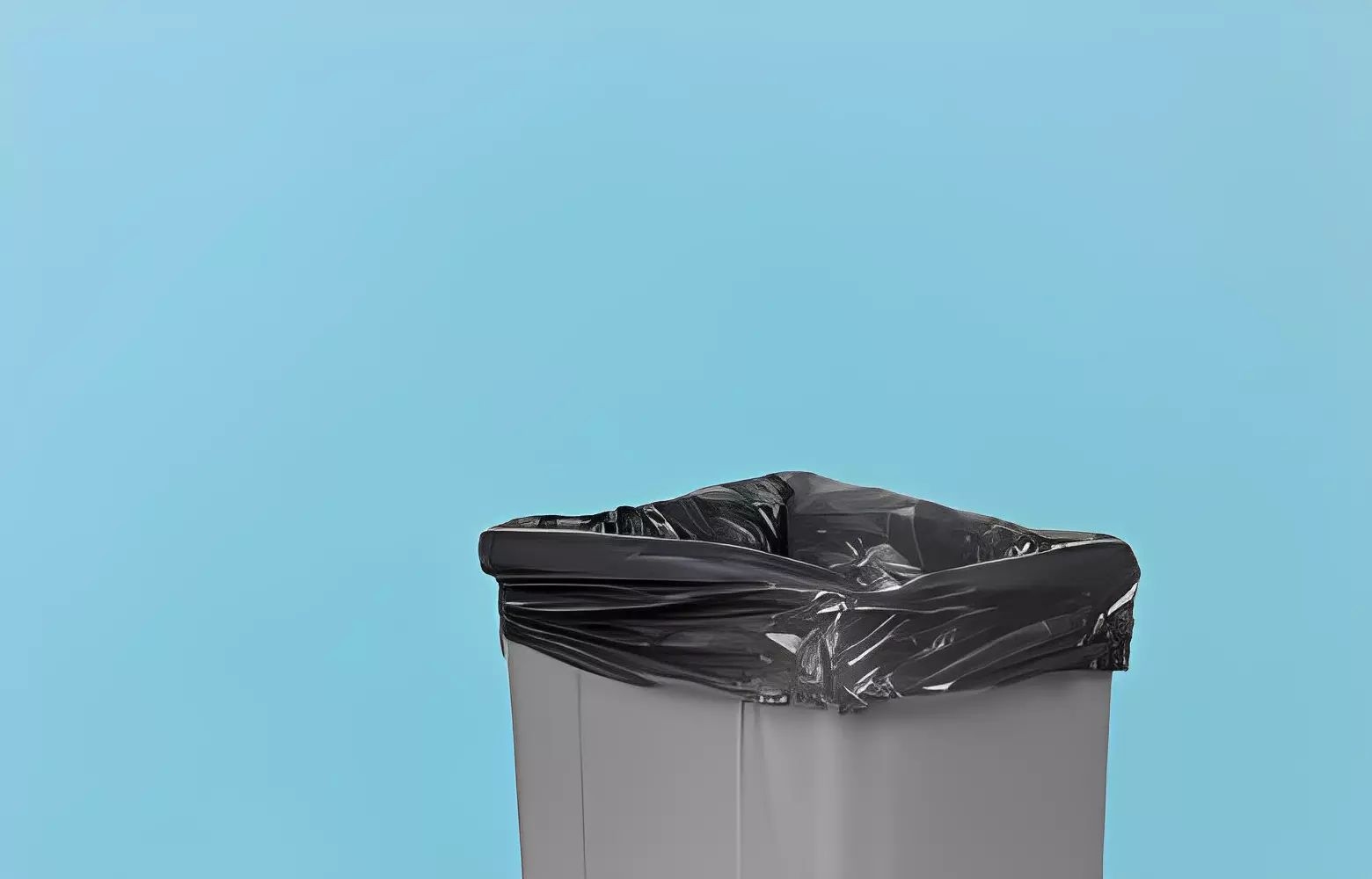 تنظيف سلة المهملات