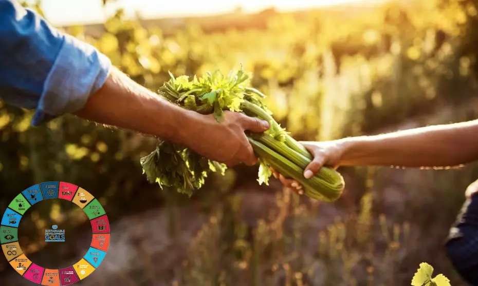 دور الفرد في تحقيق استدامة الغذاء