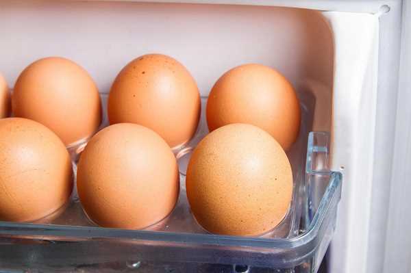 طريقة حفظ البيض الطازج