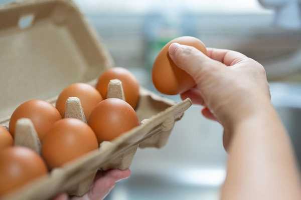 حفظ البيض في الثلاجة