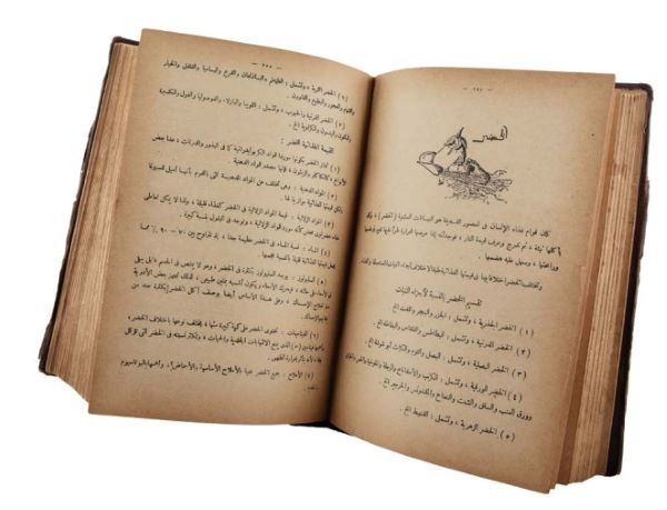 كتاب أبلة نظيرة