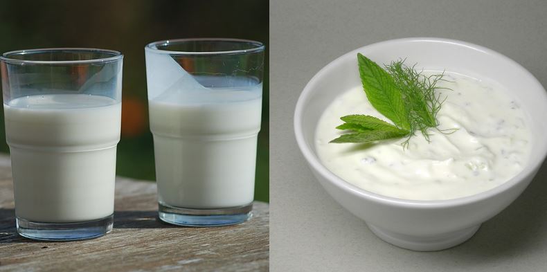 ما الفرق بين اللبن الرائب والزبادي وطريقة عملهما؟