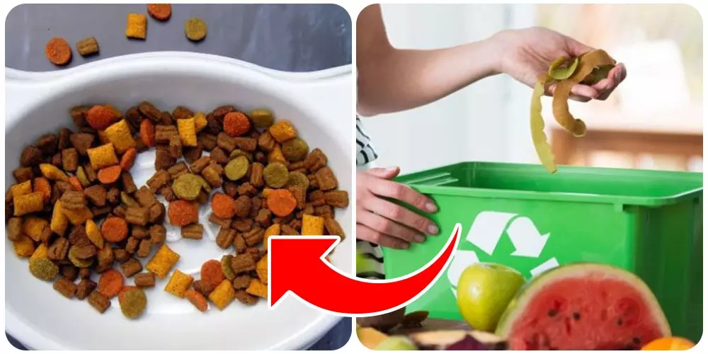 من بواقي طعامك .. حضري بديل أوفر من الدراي فود لأليفك