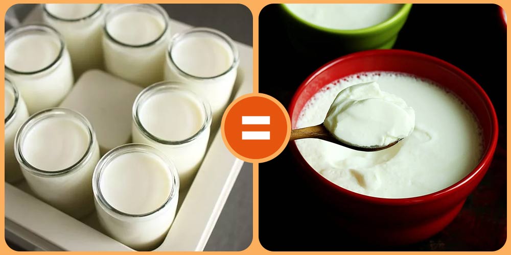 أسهل طريقة لعمل الزبادي في البيت