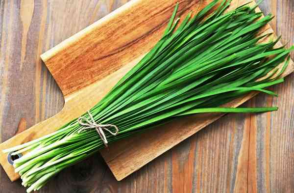 الثوم المعمر