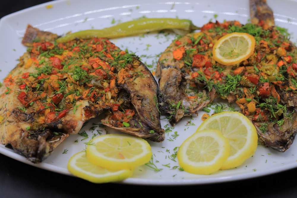 سمك بلطي سنجاري