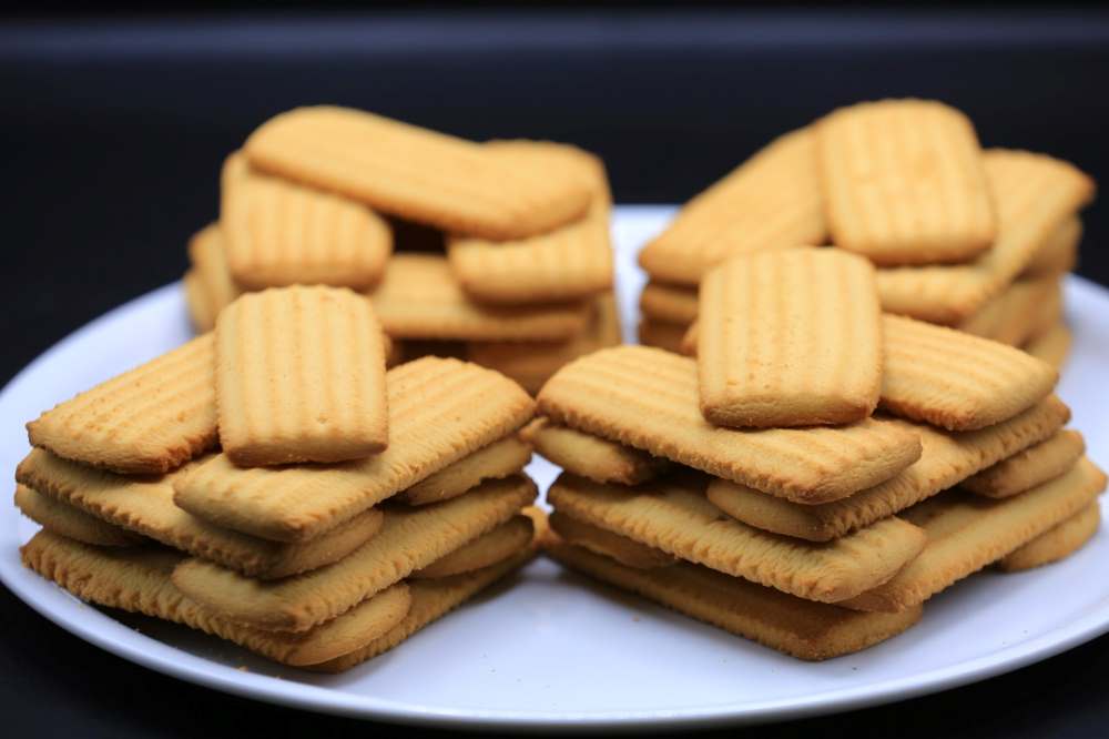 بسكوت نشادر