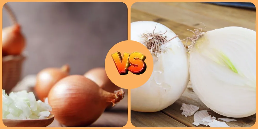 ما الفرق بين البصل الأحمر والأبيض في الطبخ وللشعر؟