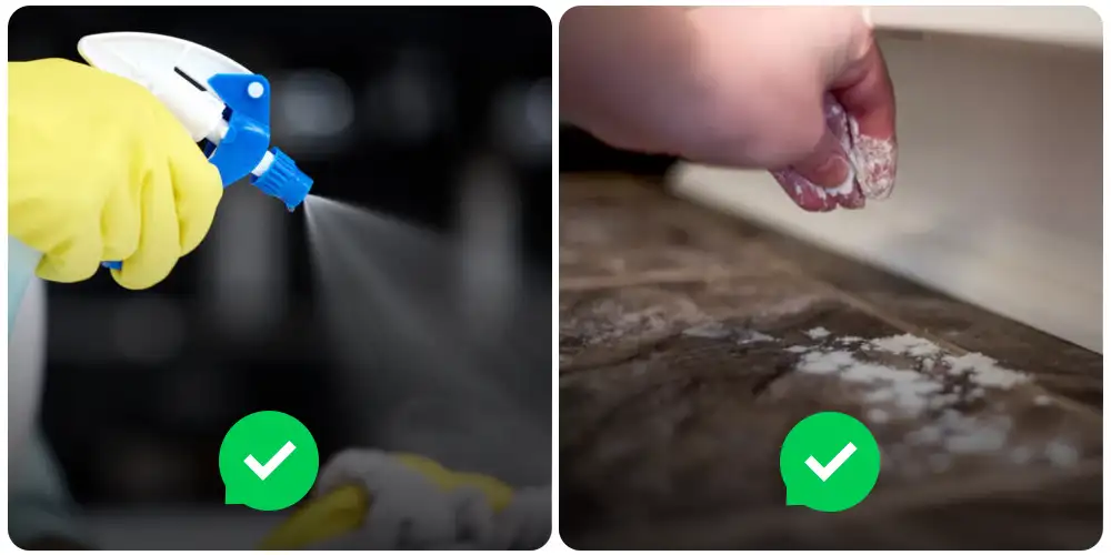 الكثير من ربات البيوت يواجون مشاكل عديدة في فصل الصيف وخصوصًا في التنظيف، ومن أكثر هذه المشاكل هي تواجد النمل بكثرة في هذا الفصل الذي يتسم بحرارته المرتفعة