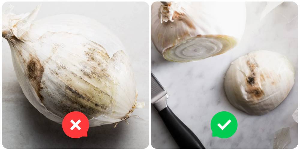 سبب العفن الأسود في البصل
