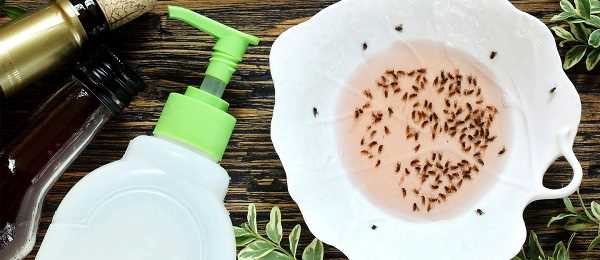 طرق طرد الذباب