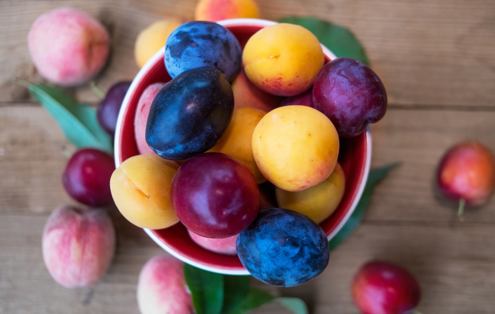 ما هو الفرق بين الخوخ والمشمش والبرقوق وفوائدها؟