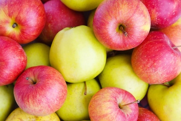 الفرق بين التفاح الأحمر والأخضر والأصفر