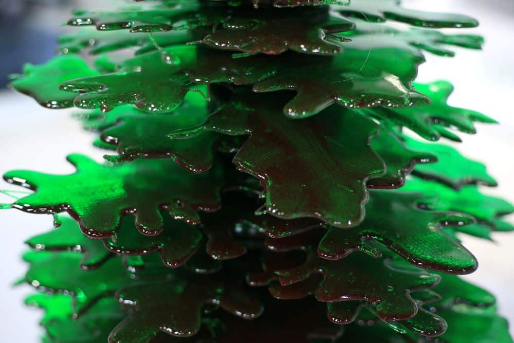 شجر الكريسماس