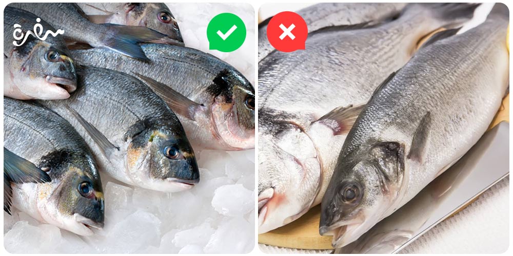 علامات السمك الطازج