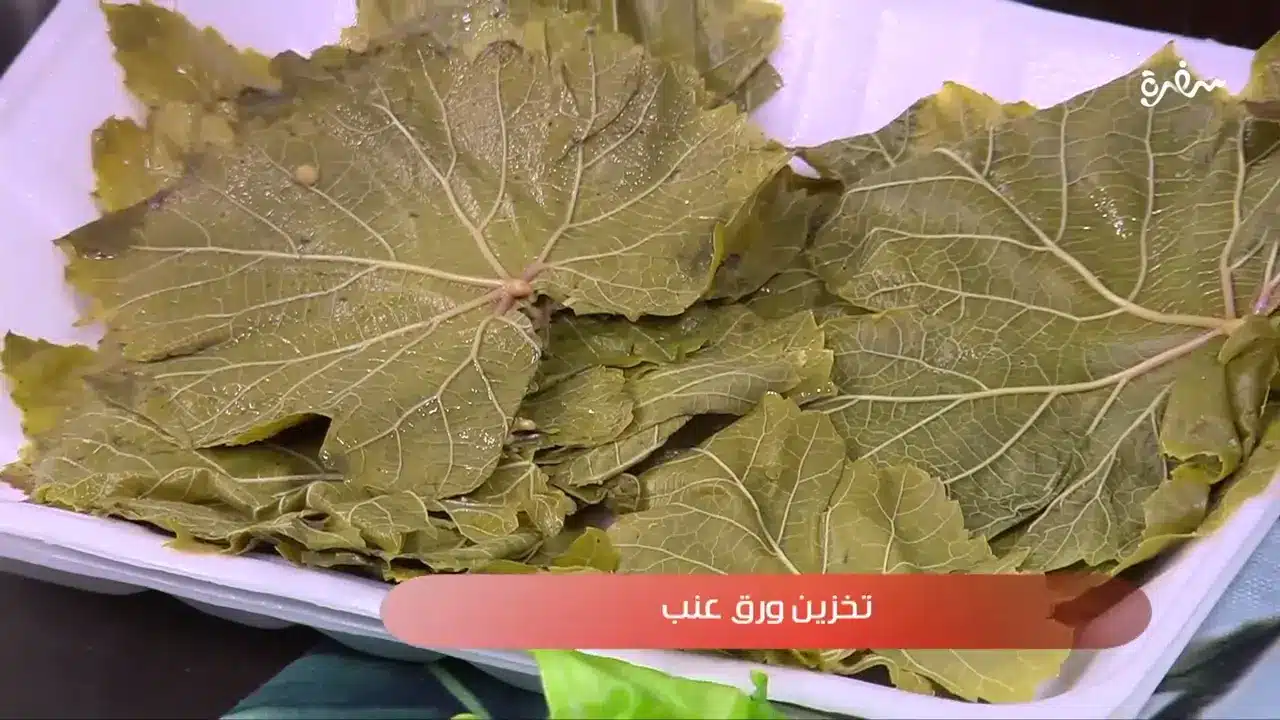 تخزين ورق عنب