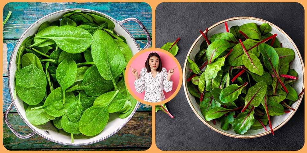 الفرق بين السبانخ والسلق والجرجير