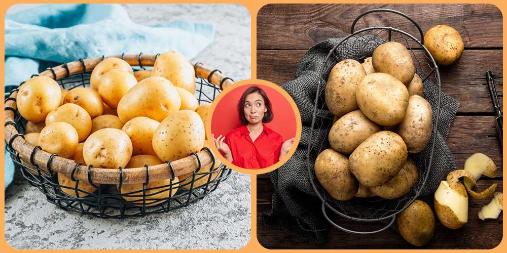 الفرق بين بطاطس الطبخ والقلي