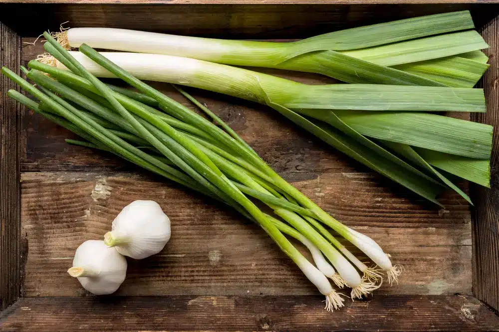 ما هو الفرق بين الكراث والبصل الأخضر وفوائدهما؟