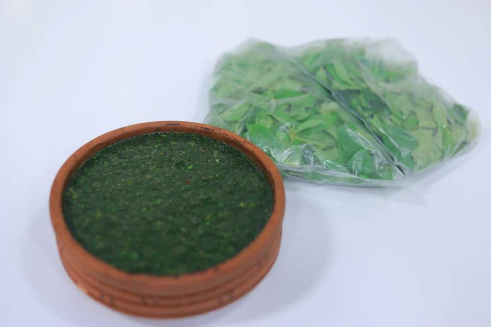 ملوخية خضراء