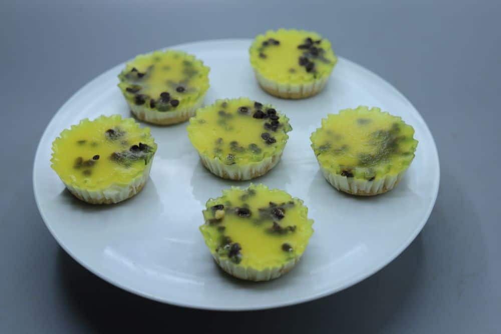 ميني تشيز كيك