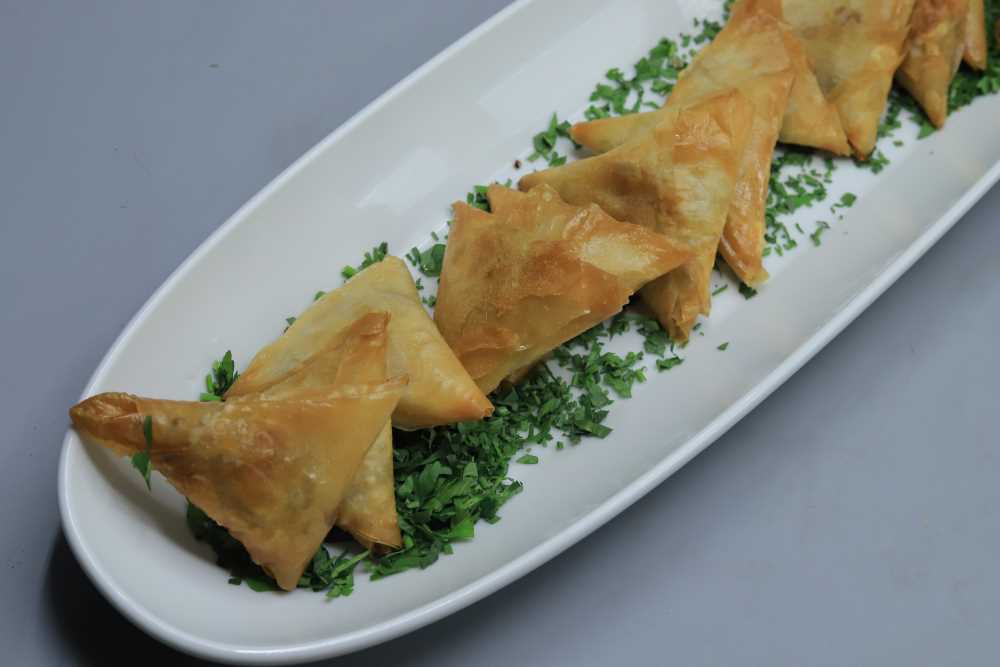 جلاش بالدجاج