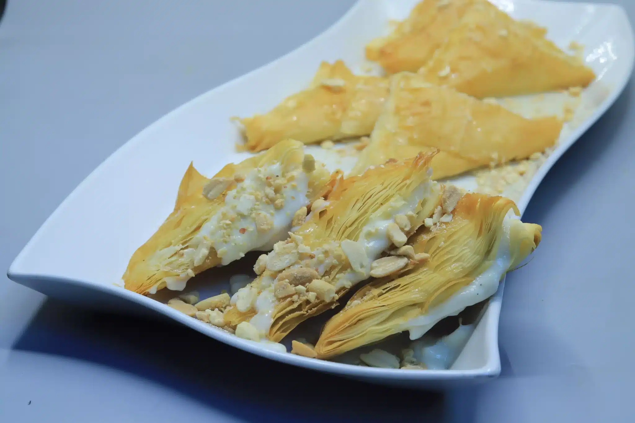 وربات الجلاش