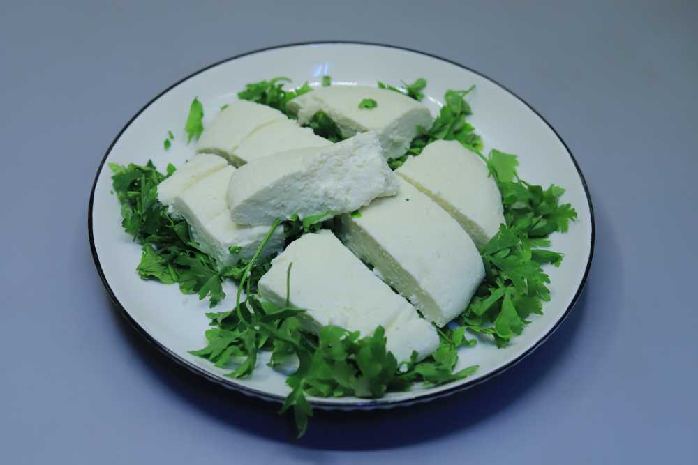 جبنة بخيرها