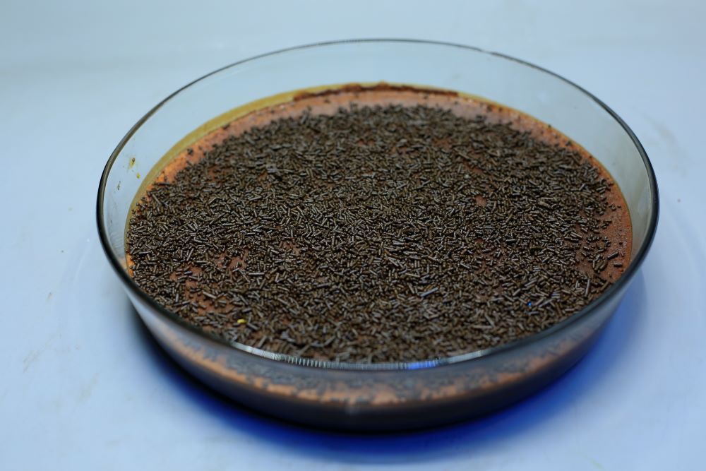 فلان الشوكولاتة