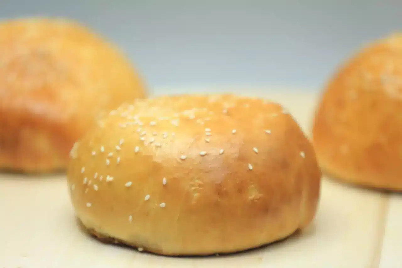 فطائر البرجر