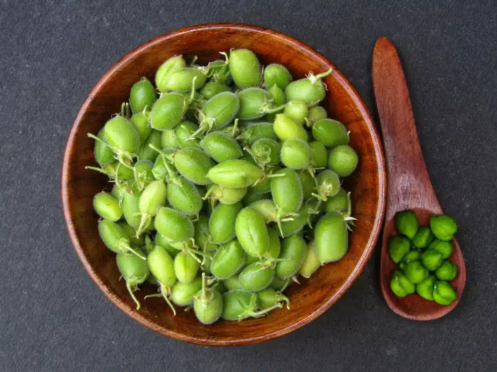 كنز الفراعنة.. لماذا كانت الملانة الخضراء أشهر أكلات المصريين في شم النسيم؟